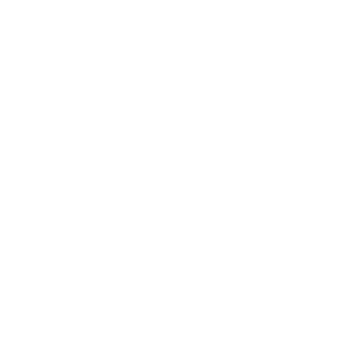 MAX logo blanc